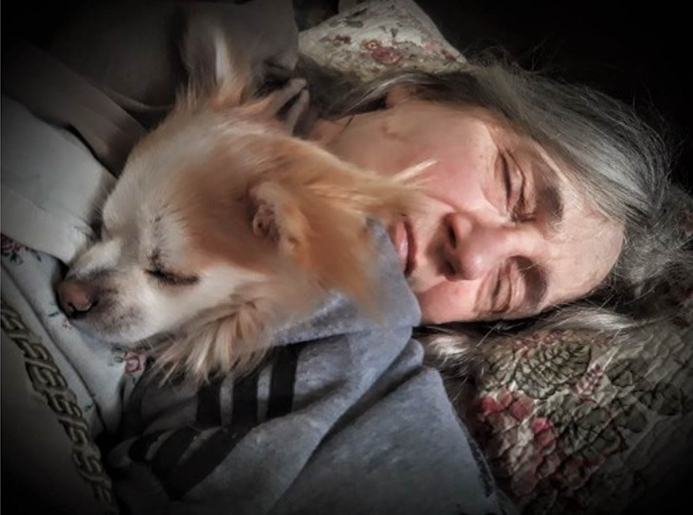 Digital close-up of a woman's face and small dog asleep.