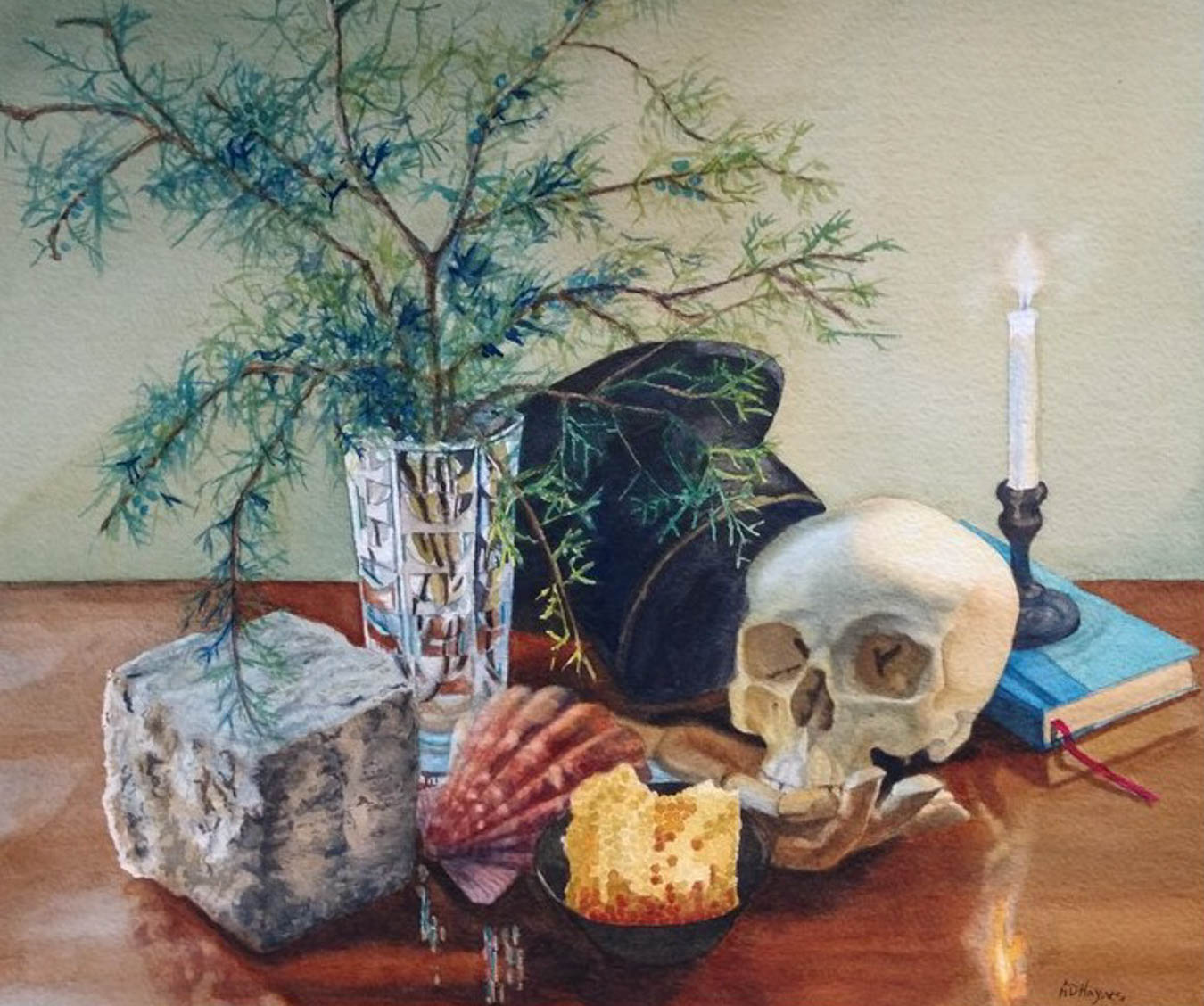 Water color painting of items on a table including a plant in a vase, a skull, a shell, a candle and other items.